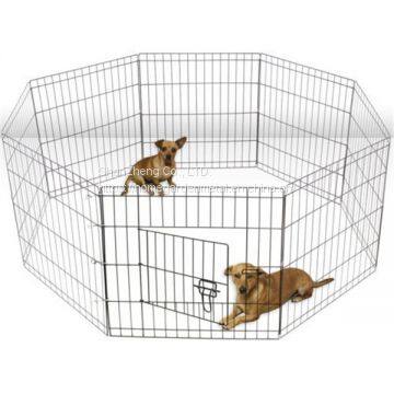 Dog Cage