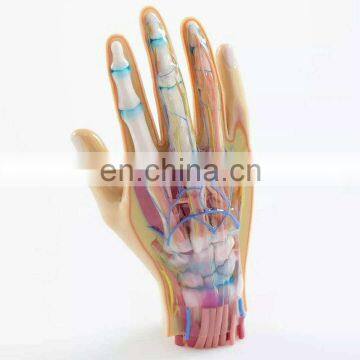 Multi-color Multi-material Capabilities Clear Rigid Rubber Photopolymers 3D Printing Service MJF photo-7