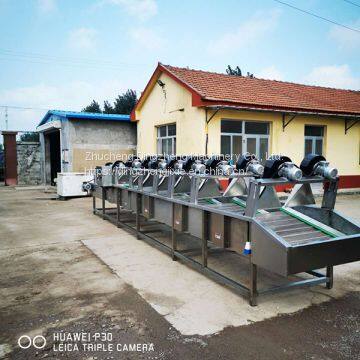 Industrial Date Palm Fruit Washing And Drying Machine ,Fruit Vegetable Processing Machine