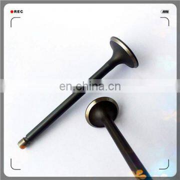 Oem 4A13-1007011 4A13-1007017 Engine Valve for 4A15 photo-6