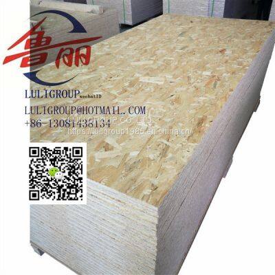 Luliwood Osb5 photo-5
