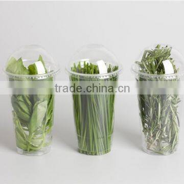 Disposable Food Package Cup, Vegetable Package Cup, Clear Plastic Food Cup,take Away Cold Drinking Cup With Dome Lid photo-4
