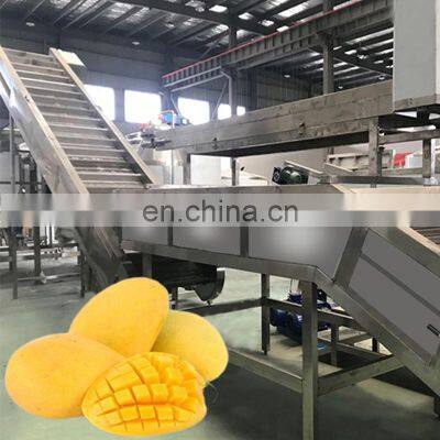 Juicer mango fruit grading extractor machine production line