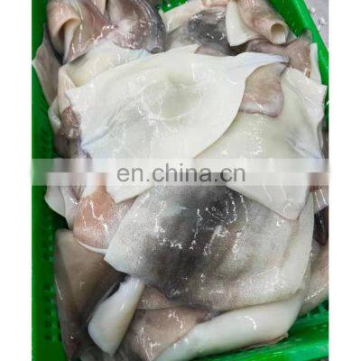 Wholesale BQF frozen skin on squid tube fillet