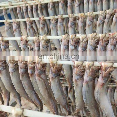 Wholesale One Night Dried Capelin Fish for Export photo-4