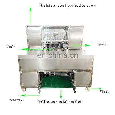 Vegatable Bell Pepper Apricot Apple Cherry Peach Longyan Seed Removing Pitting Cutting Slicing Machine photo-2