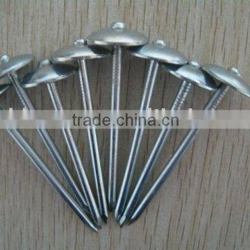 TWISTS ROOFING NAILS