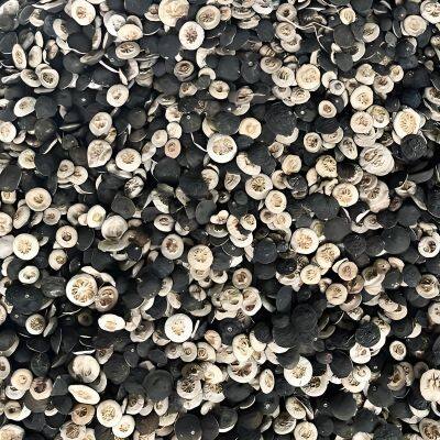 Citrus Aurantium Extract photo-2