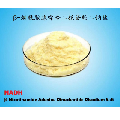 NADH β-Nicotinamide Adenine Dinucleotide Disodium Salt