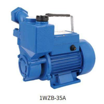 AUTO-1WZB35F Series Peripheral Pumps