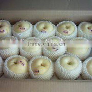 Chinese Fresh Shingo Pear to USA photo-5