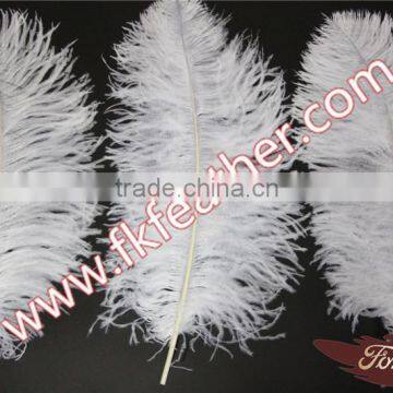 Large White Ostrich Feather long 50cm-55cm Wedding And Stage Decorations