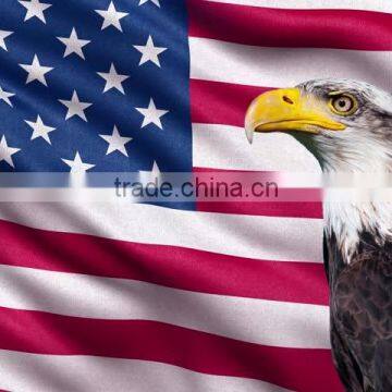 Custom Material Printed Polyester Rebel Flag for Sale