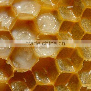 Pure fresh queen royal jelly for sale