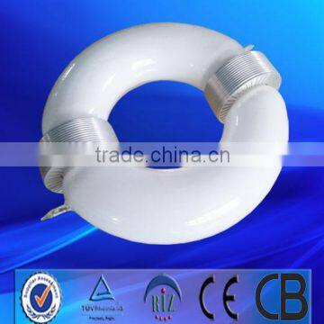 China market energy saving Induction Lamp