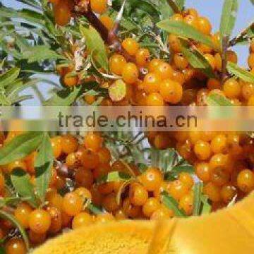 pure sea buckthorn oils