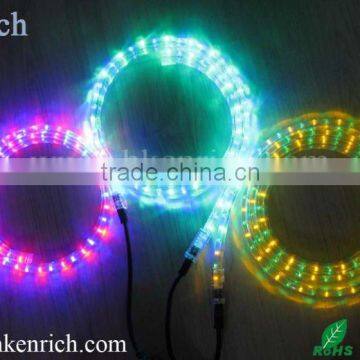 2 wires round Led Rope light (Christmas light, Holiday light)