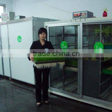 Automatic 50kg/day Barley Sprouting Machine photo-2