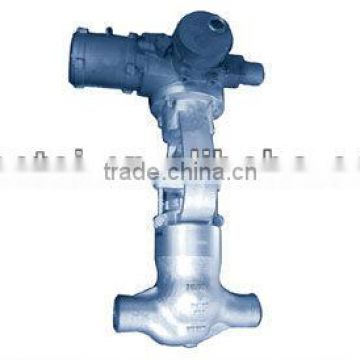 Globe Valves