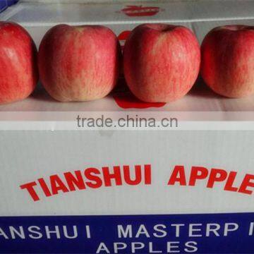 Fresh High Quality Fuji Apples for Sale Grade A Fuji Apple for Indian Market