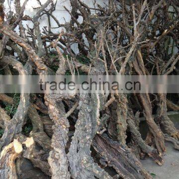 Fashion Window Diplay Decoration Tree Trunk Supplies photo-5