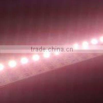2015 High Quality SMD 5050 Flexible LED Strip, 12V LED Strip, IP65, led strip light