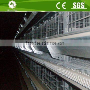 H type chicken wire poultry cage, breeding poultry chicken cages