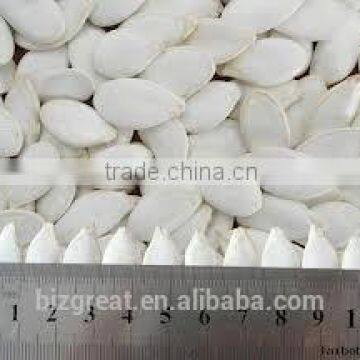 Roasted Snow White Pumkin Seeds With Salt Coat for Sale photo-6