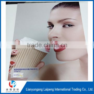 high quality double side coated paper board for paper cup