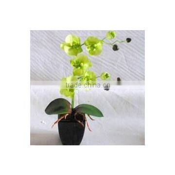 artificial potted orchid flower