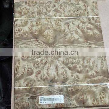 Natural Golden Camphor Burl Wood Veneer for Home Decoration