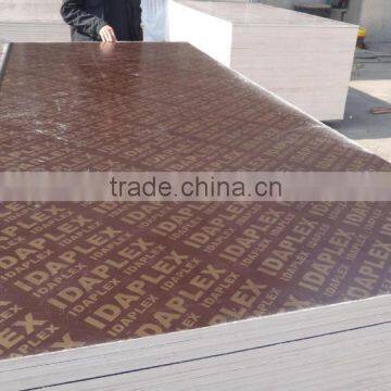 Shandong Plywood Manufacture photo-2