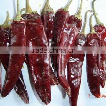 American Red Chili whole