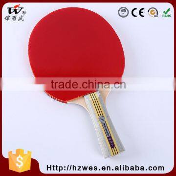 Trustworthy China Supplier 3 Star OHS Top Training Table Tennis Racket Bat with Case