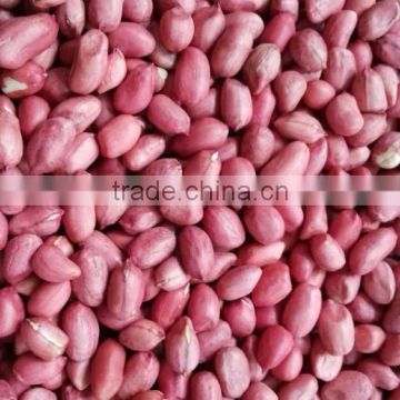 2014 new crop Red Skin Peanut Kernels, red skin four grain Peanuts 40/50,50/60