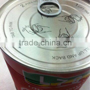 manufacturer china tomato paste sauce 140g normal easy open factory double concentrated