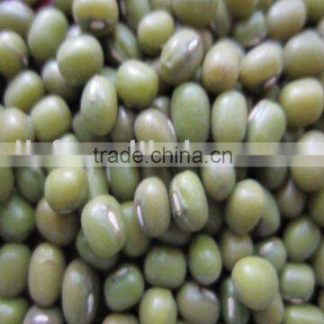 all sizes of Green Mung beans 2010 crop