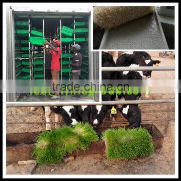 Freezer Container Type Fresh fodder system hydroponic