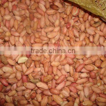 Chinese new crop long peanut kernel