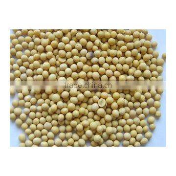 organic soybean