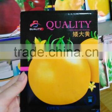 Medium maturity high quality tomato seeds yellow tomato seeds