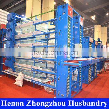 good quality large bird cage/chicken feeder/price cages for laying hens