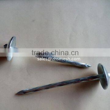 cheap price zinc galvanized roofing nails