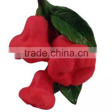 ROSE APPLE FRUIT MAGNET RESIN 3D FRIDGE MAGNET SOUVENIR photo-2