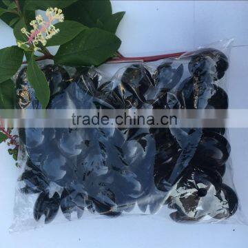 High Quality Whiteboard Magnetic Nail, Round Shape Magnetic Nail photo-2