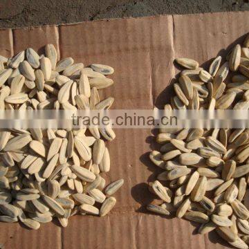 PG-5 Soya Bean Processing Machine photo-6