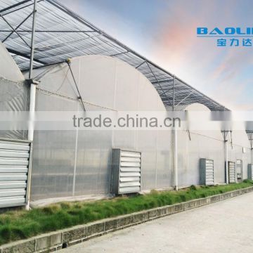 Plastic Film Greenhouse Covered By Polythene Film From China Supplier