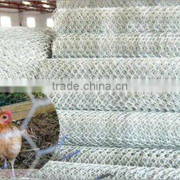 chicken wire mesh