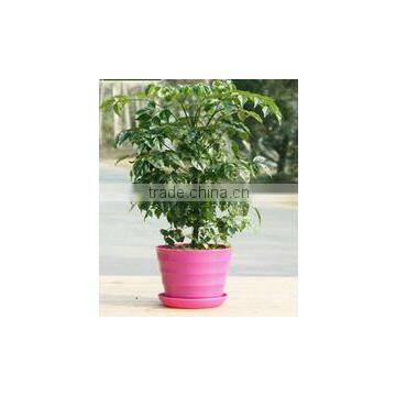 15040110 Supply High Quality Colorful Melamine Flowerpot photo-2