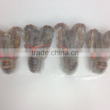 Rock Lobster photo-3